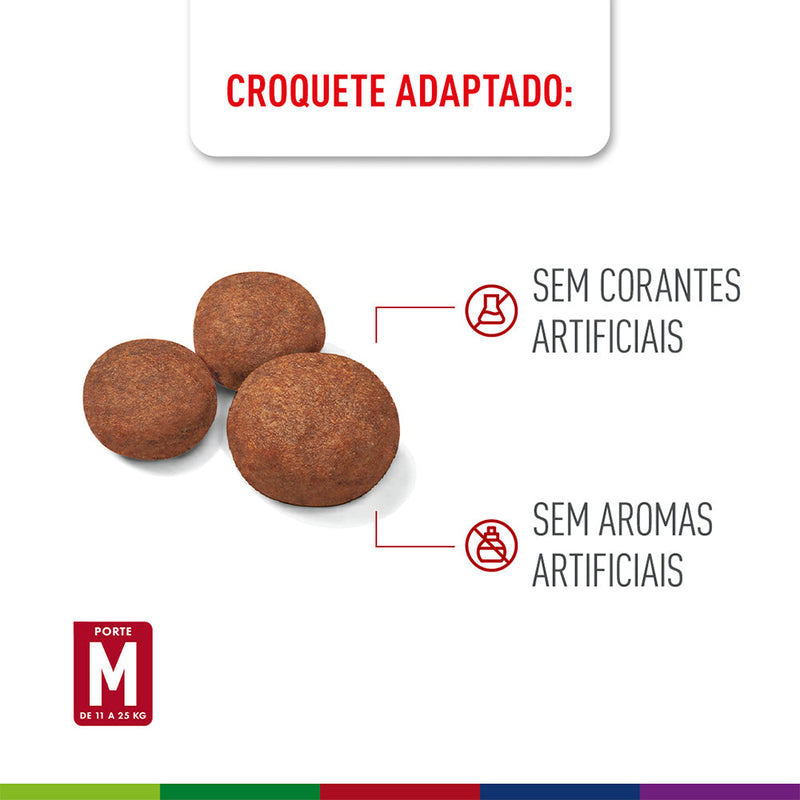 Ração Seca Royal Canin Medium Puppy para Cães Filhotes de Porte Médio