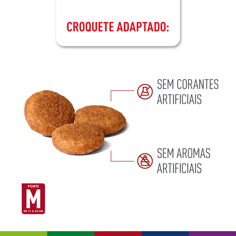 Ração Seca Royal Canin Medium Adult 7+ para Cães Adultos de Porte Médio com 7 Anos ou mais 12 kg