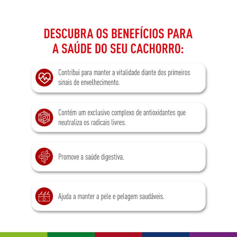 Ração Seca Royal Canin Medium Adult 7+ para Cães Adultos de Porte Médio com 7 Anos ou mais 12 kg