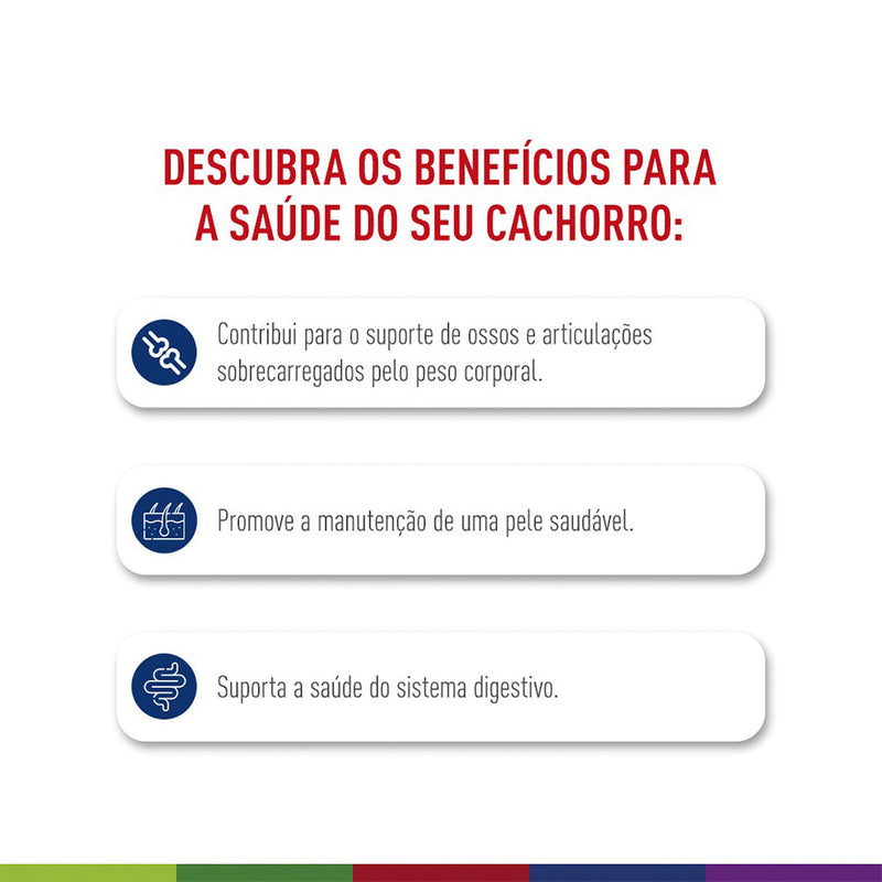 Ração Seca Royal Canin Maxi Adult para Cães Adultos de Porte Grande 12 Kg